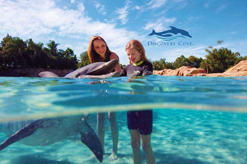 Discovery Cove Ultimate Package